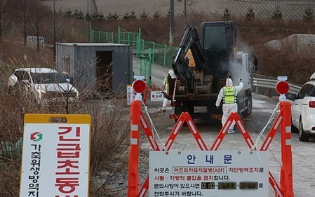 South Korea reports 1st African swine fever case in 2 months