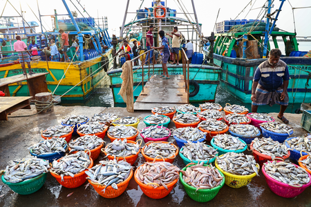 India to scale value‑added seafood exports, tap marine potential