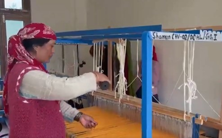?Handloom has become our source of income’: Himachal’s Sharan village weavers celebrate revival of traditional craft